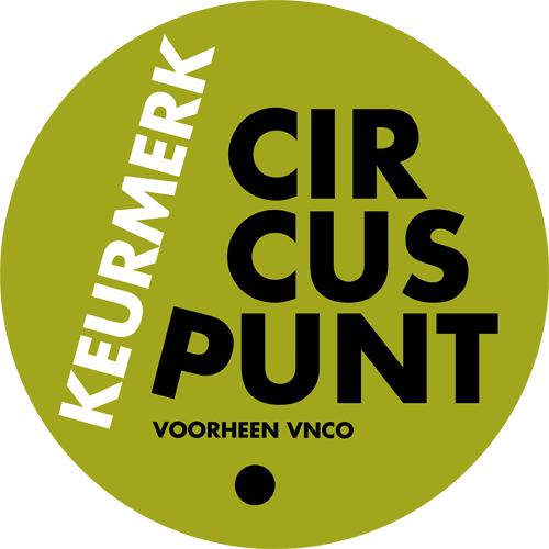 Circuspunt